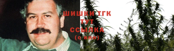 спиды Бородино