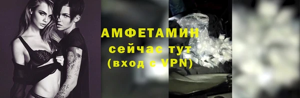 соль ск Богданович
