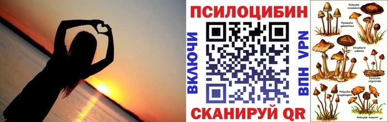 цены   кракен зеркало  Псилоцибиновые грибы прущие грибы  Верхотурье 